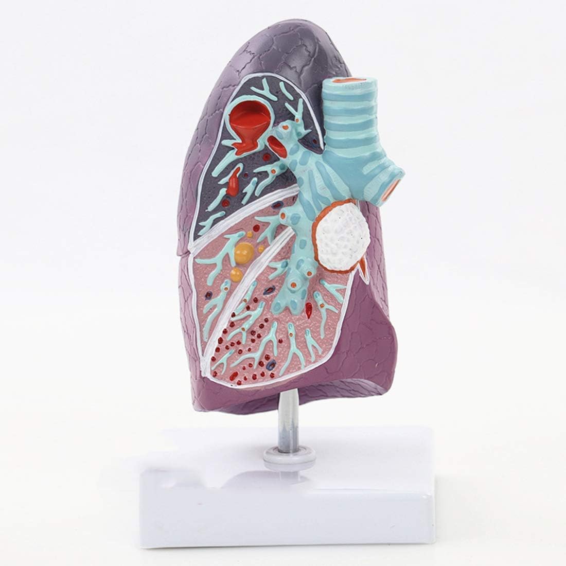 Relastin Eye Silk (0.5 oz)