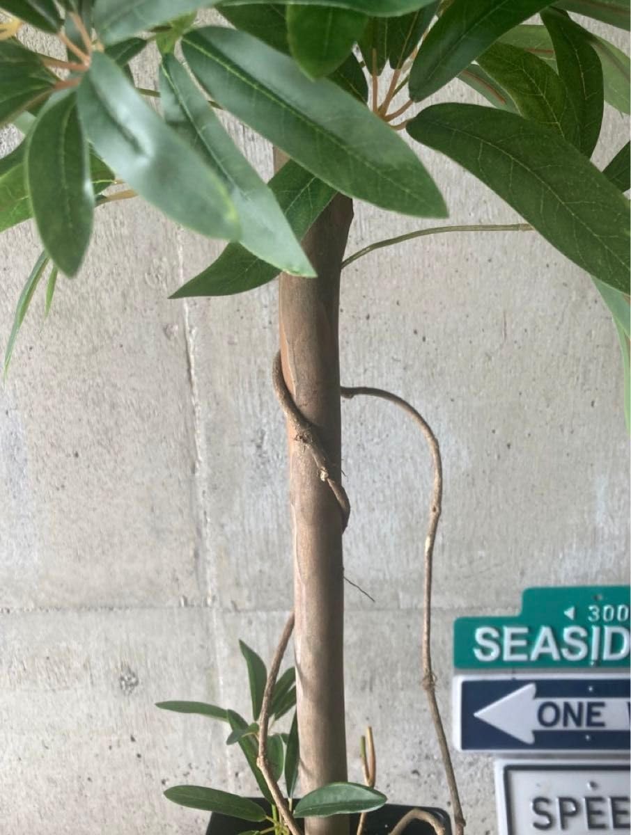 Amazon.co.jp: 触媒 人工観葉植物 ウォールグリーン フェイク