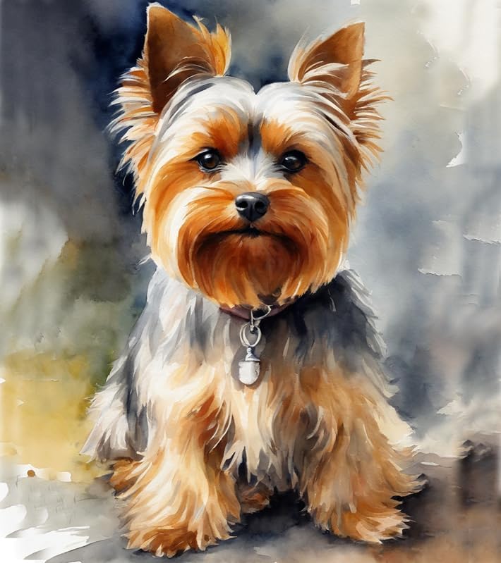 ZMHZMY Paint by Numbers for Adults Yorkshire Terrier Painting by Number for Adults DIY Digital Painting for Beginners Wall Decor Drawing Art Decor,40x50cm No Frame