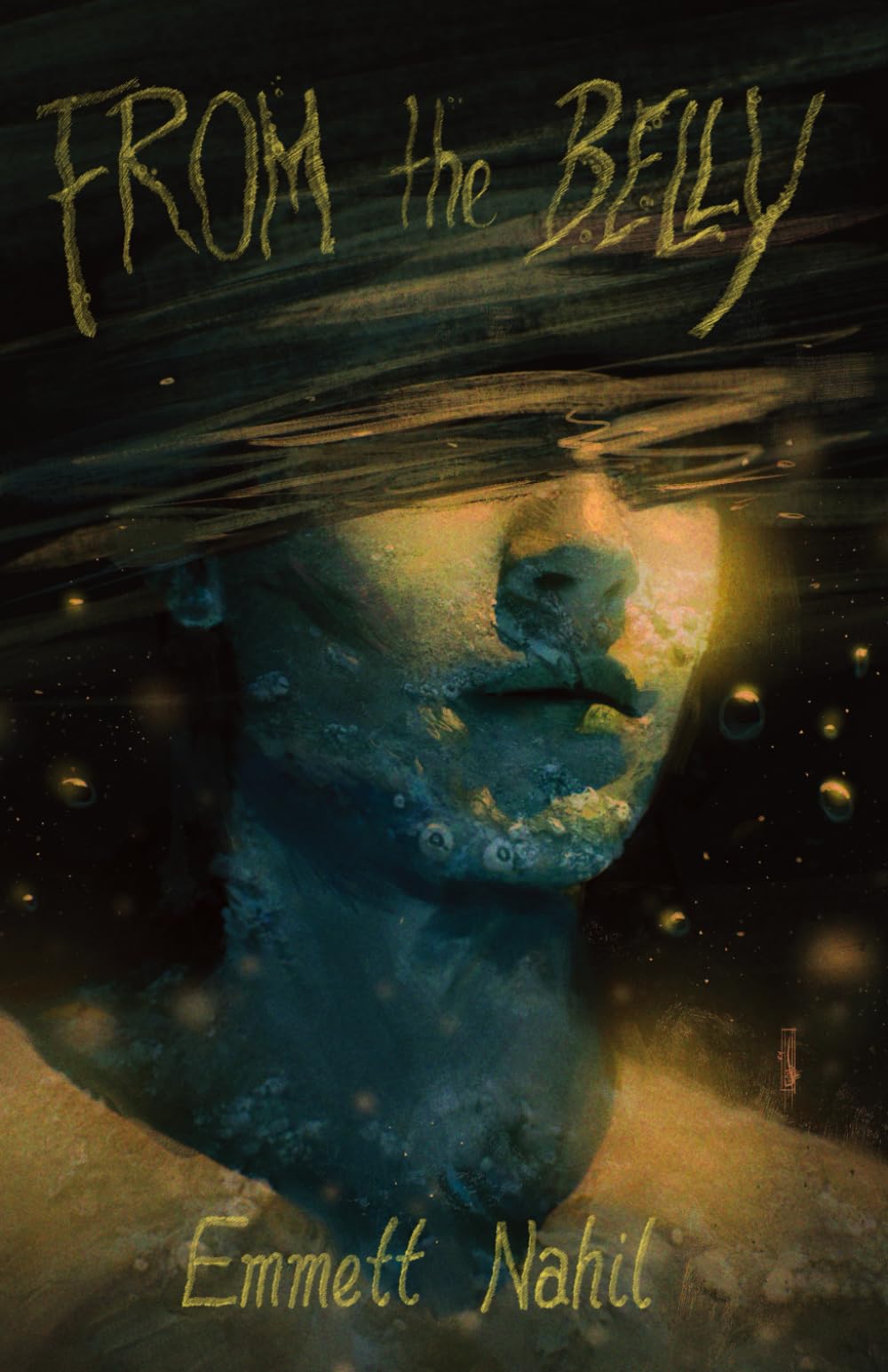 Cover of From the Belly