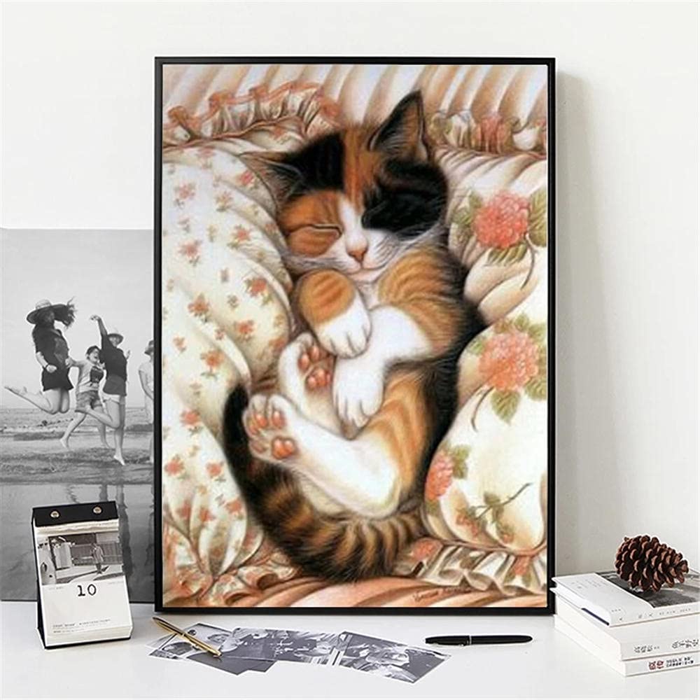 ABEUTY XXXXXXXX - Kit completo per pittura con diamanti 5D fai da te con i numeri, per pittura a punto croce con cristalli e cristalli (gatto che sorride