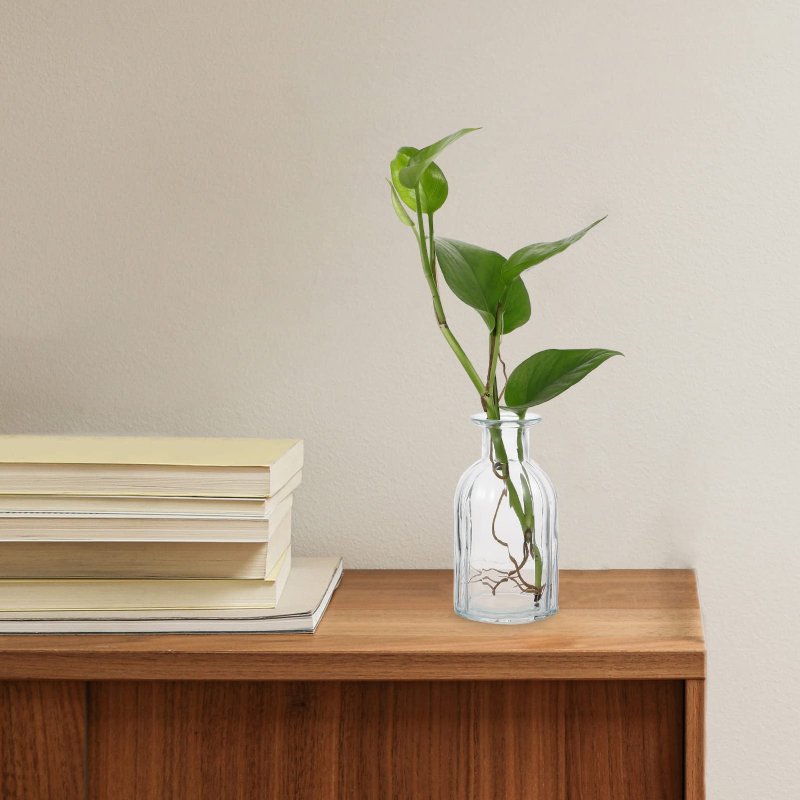Vase Hydroponique Mini 4 Pcs en Verre pour Fleurs, Décoration