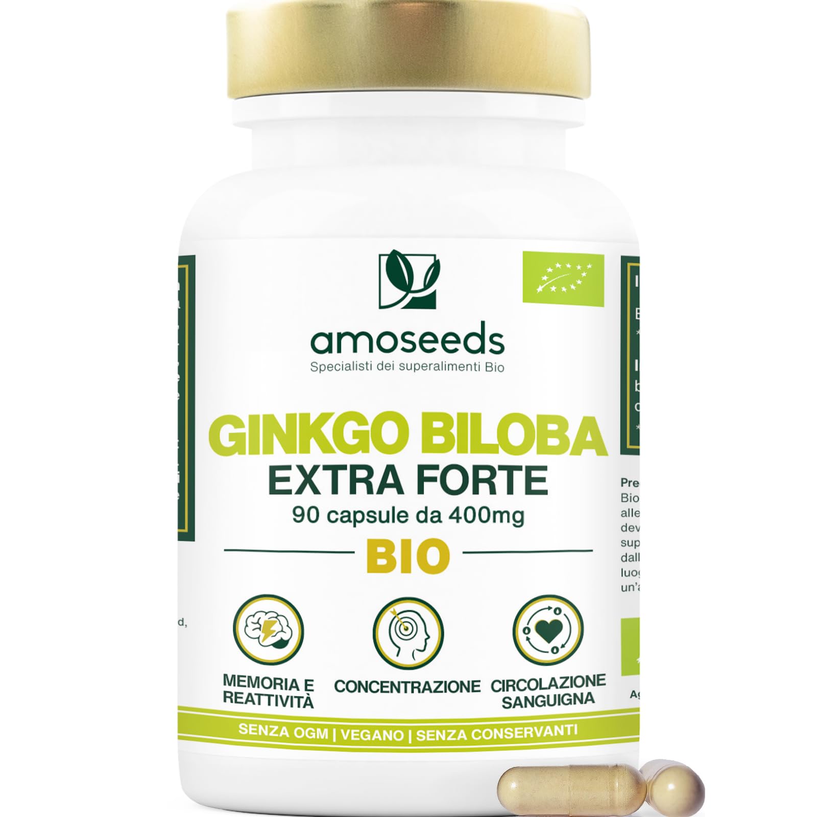 Ginkgo Biloba BIO | Extra Forte, 4560mg al giorno | Contiene Flavonoidi e Terpeni | 90 capsule vegane | Memoria, Concentrazione, Circolazione Sanguigna | Qualità Superiore