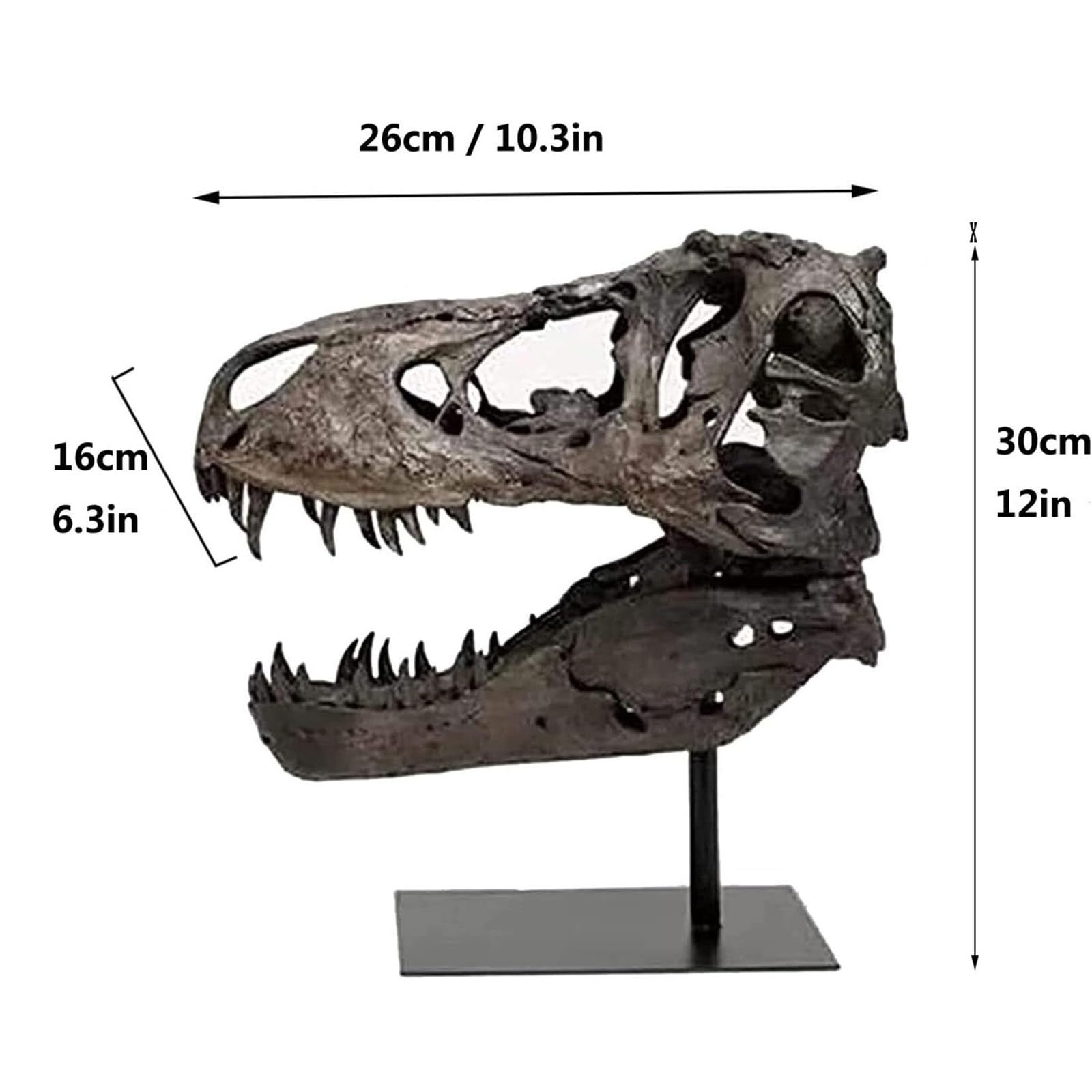 Dekoracja pomieszczenia model czaszki dinozaura ze stojakiem, skamielina, archeologia, rzemiosło, rekwizyt do nauki, zabawne akcesoria na biurko