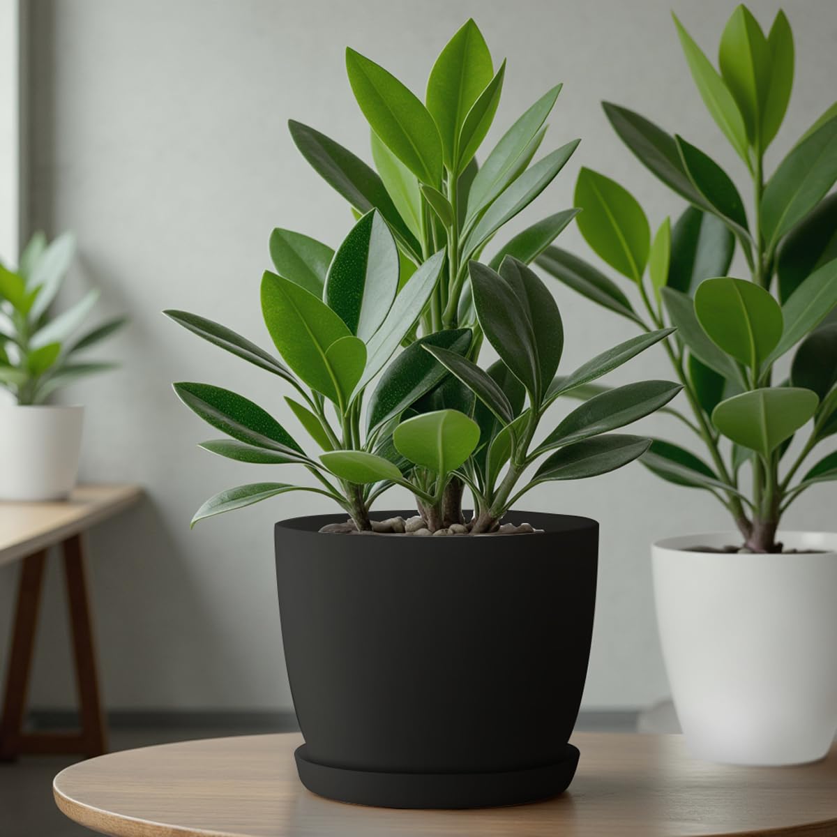 KADAX KADAX 25cm Plastic Flower Pot with Saucer and Elegant Matte Finish, Plant Pot for Modern Home Decor (Charcoal) in use