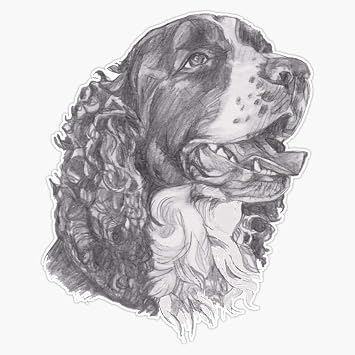 MAGNET Classic English Springer Spaniel Dog Profile Drawing Magnetic Sticker Vinyl Waterproof Magnet Decal Car 5"