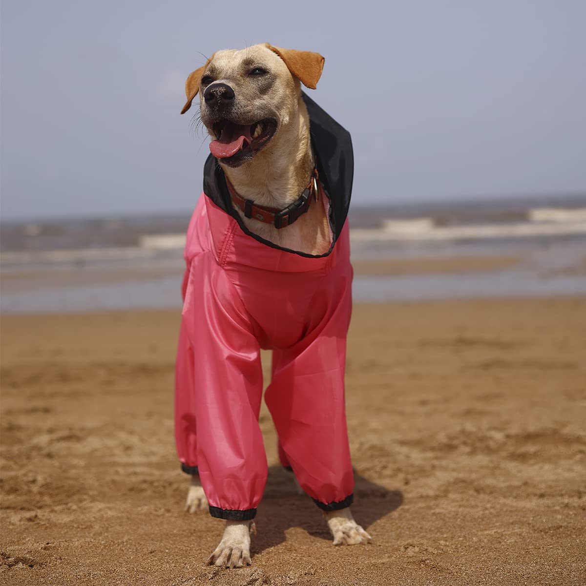 Four Legged Raincoat (Extra Extra Large, Pink) 1