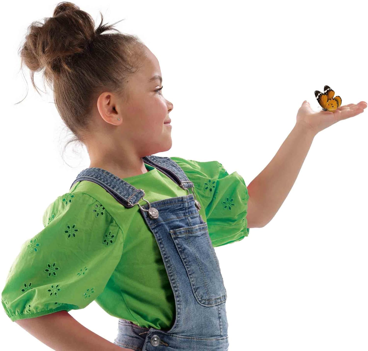 SES Creative 25204 - Butterfly Hotel, self-Assembly, Discover Nature Set for Children