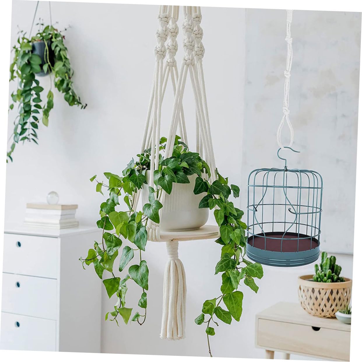 Yardwe 20stücke Pflanzenhalter Wandbefestigung Verstellbare Makramee Blumenampel Halterung Für Innen Und Außenbereich Robuste Aufhängung Für Pflanzgefäße Und Blumenkübel