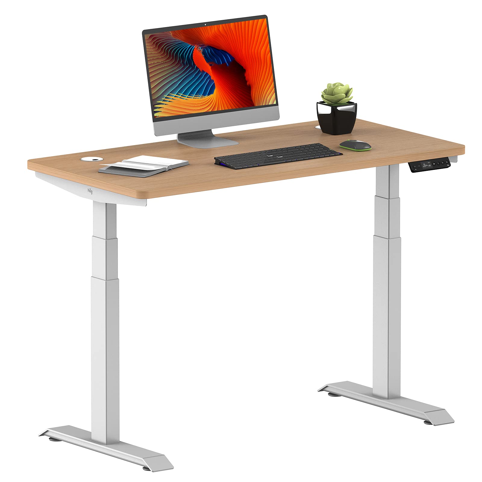 Buy HOO Dual Motor Electric Standing Desk, 42x24 Stand Up Desk with
