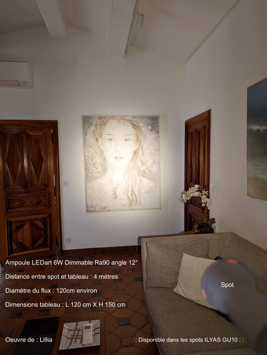 Spot LED ELYSIUM GU10 8W - Faisceau 50° Ra97 - Dimmable - Design Acier Brossé - LEDart