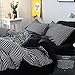 LAMEJOR Duvet Cover Sets Queen Size Striped Pattern Reversible Luxury Soft Bedding Set Comforter Cover (1 Duvet Cover+2 Pillowcases) Black/White
