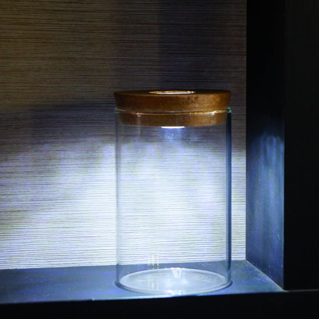 Amazon.co.jp: 【苔庵介る】 LED付き 苔テラリウム容器 コルク蓋付き