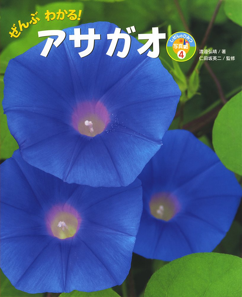 ぜんぶわかる アサガオ しぜんのひみつ写真館 渡邉 弘晴 英二 仁田坂 本 通販 Amazon ぜんぶわかる アサガオ しぜんのひみつ写真館 渡邉 弘晴 英二 仁田坂 本 通販 Amazon