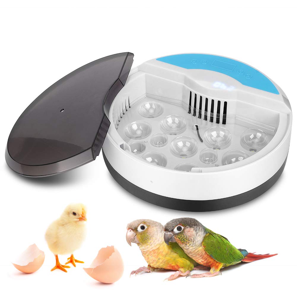Built-in Sponge 9 Eggs Incubator Chicken Eggs Function for Chicken Automatic ABS(US Standard 110V)