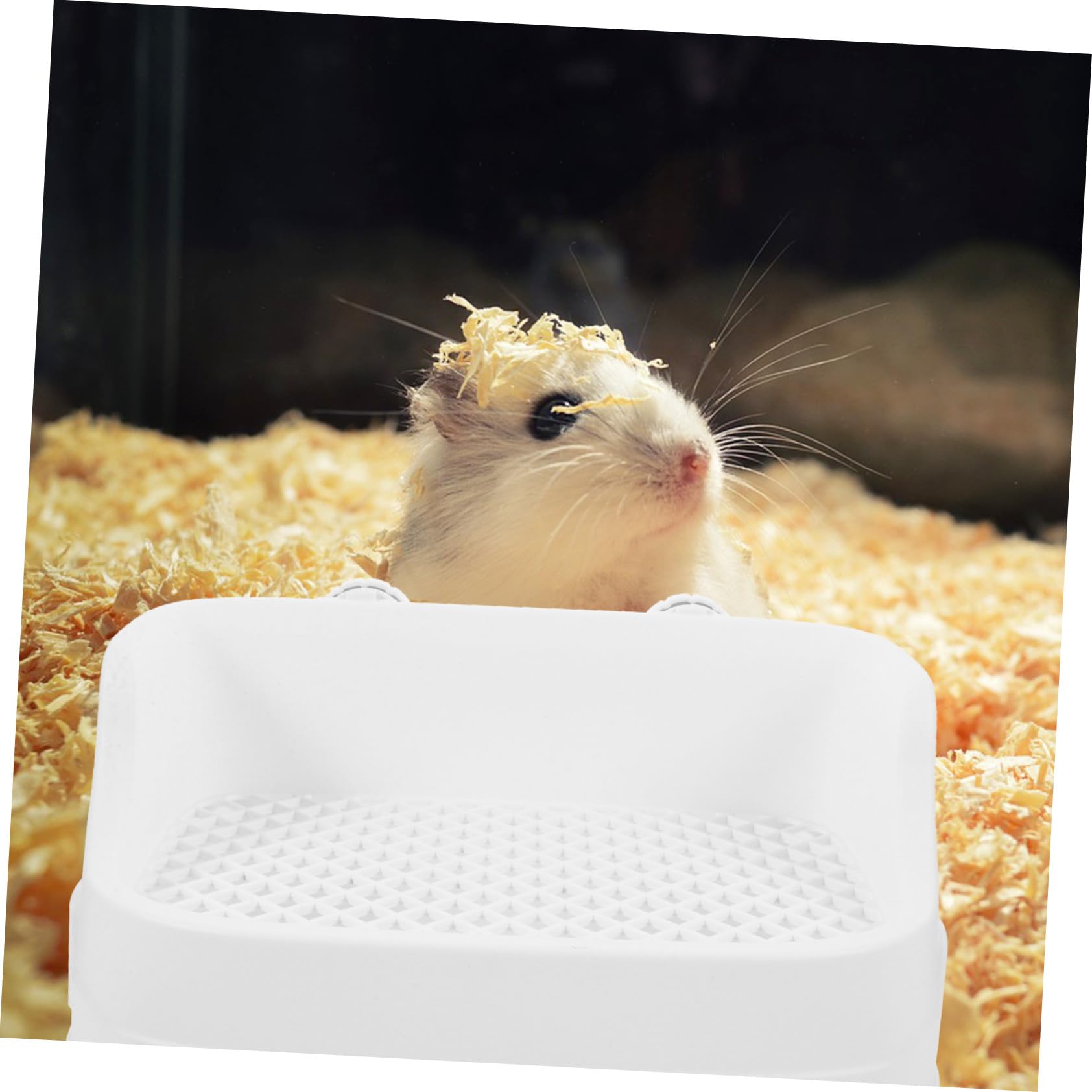 Litière pour Lapin Plastique avec Entrée Basse Bac à Litière pour Petits Animaux comme Cochons Hamsters et Plateau Toilette Adapté pour Cage Intérieure