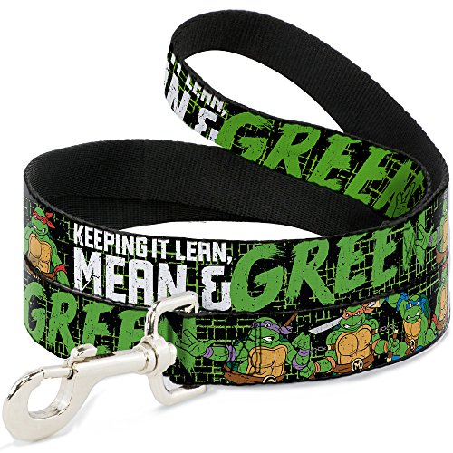 Laisse canine haut de gamme TMNT Buckle Down sangle renforcée - 2