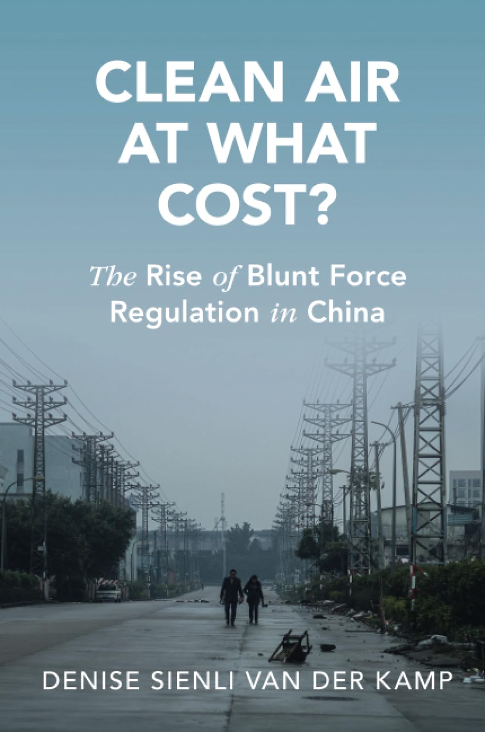 Clean Air at What Cost?: The Rise of Blunt Force Regulation in China (Cambridge Studies in Law and Society)