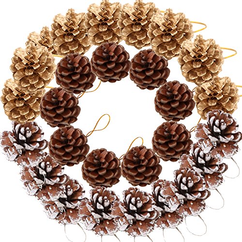 Upgraded 27 Pieces Pine Cones Ornament Natural Pine Cones with String Pendant Crafts for Gift Tag Tree Party Hanging Decoration(Multi Color-27 Pack)