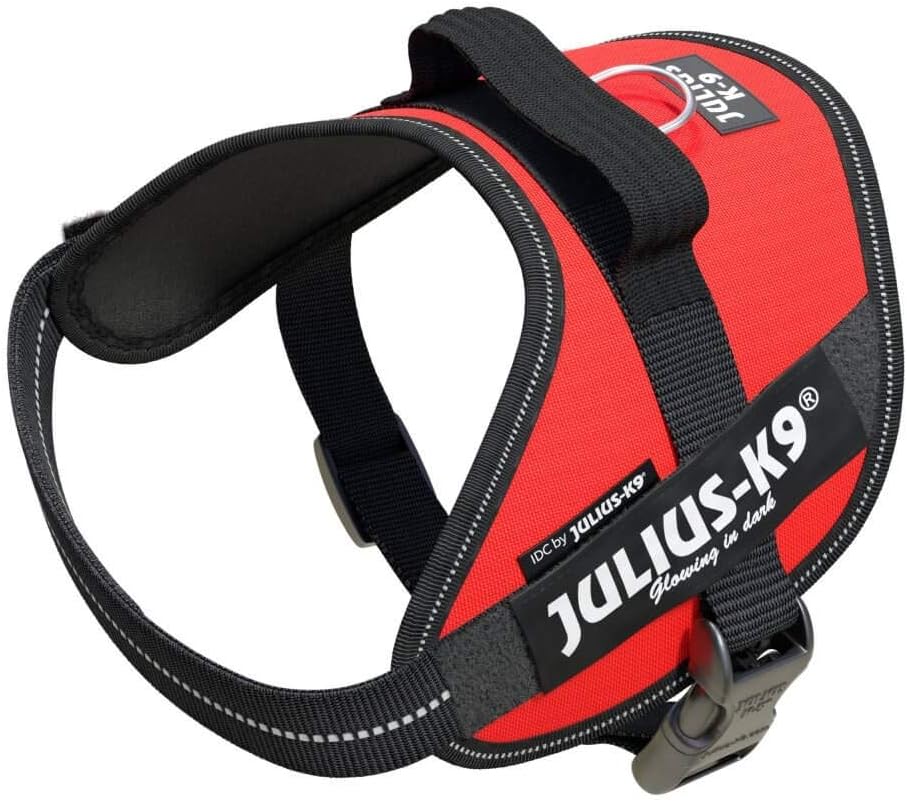 Julius-K9, 16IDC-R-M, IDC Powerharness, Dog Harness, Size: Mini, Red