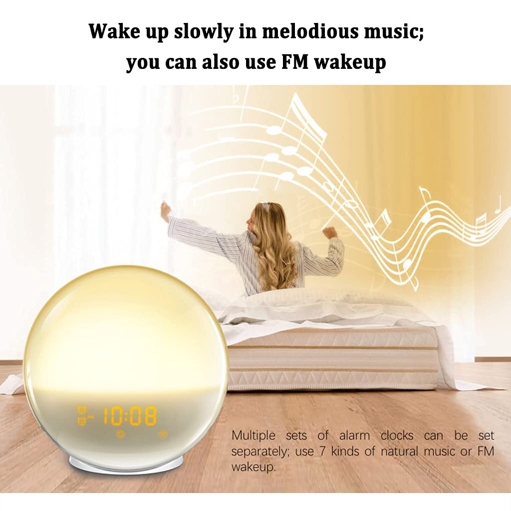 2 Pz Wake Up Light, Sveglia, con Simulazione Alba/Tramonto, Doppio Allarme e Funzione Snooze, 7 Suoni Naturali e Radio FM, Ideale per Regalo