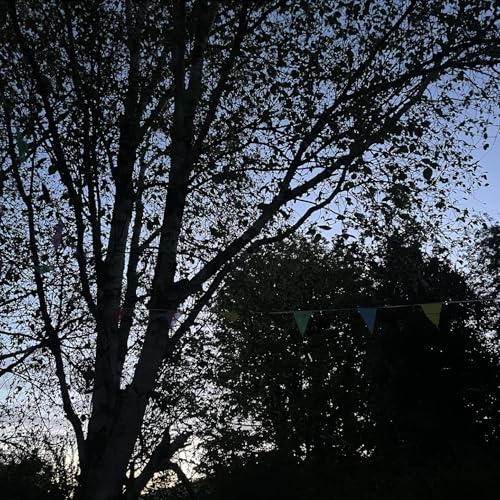 Dawn chorus, Kilfinane, Ireland on 10th May 2026 &ndash; by Eleanor McDowall