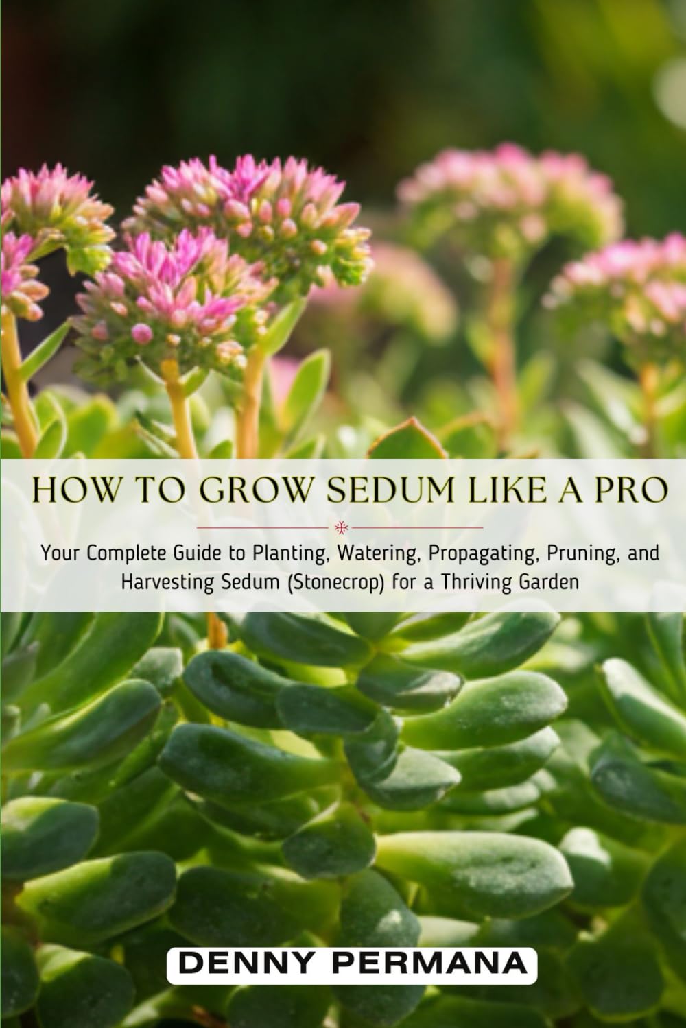 How to Grow Sedum Like a Pro: Your Complete Guide to Planting, Watering, Propagating, Pruning, and Harvesting Sedum (Stonecrop) for a Thriving Garden