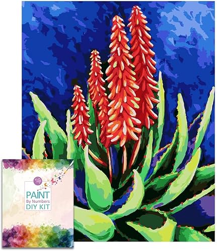 Easy Craft Paint by Number DIY Kit, 50x40cm- Succulent - Aloe