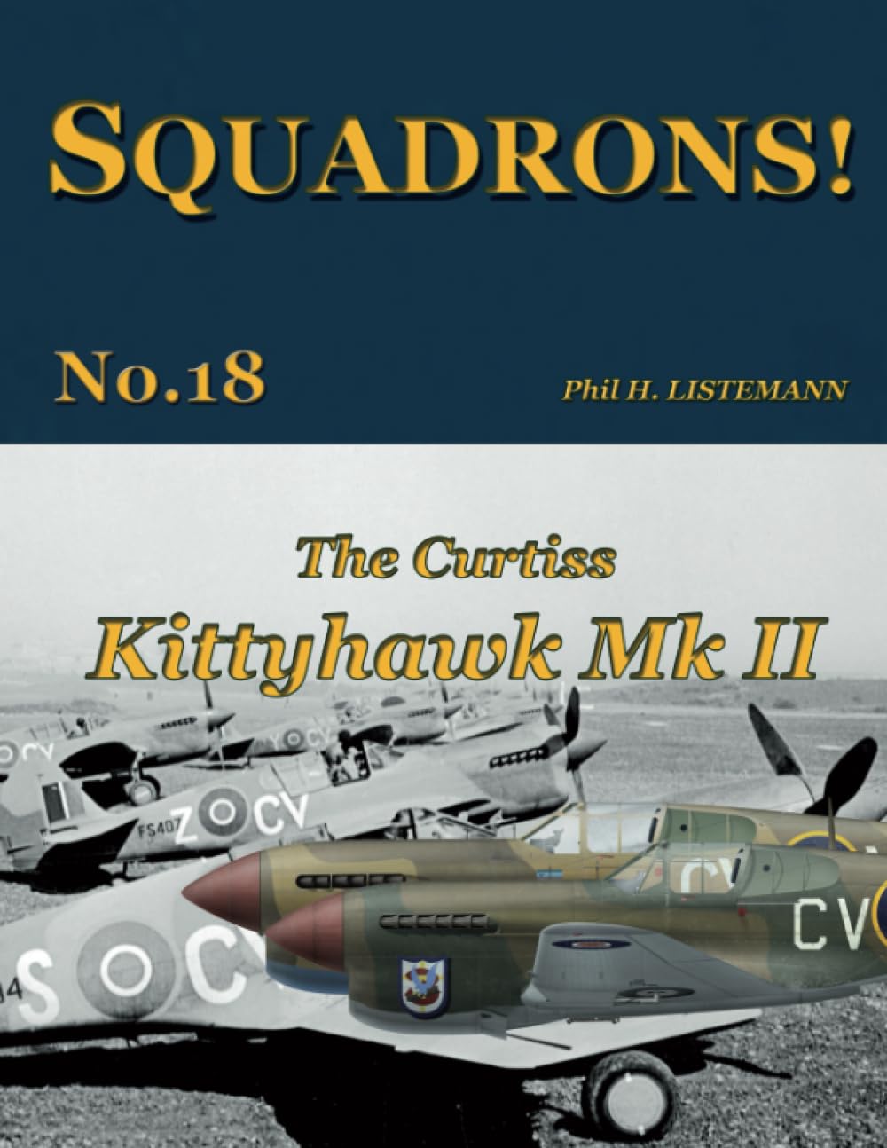 The Curtiss Kittyhawk Mk. II: 18 (SQUADRONS!)