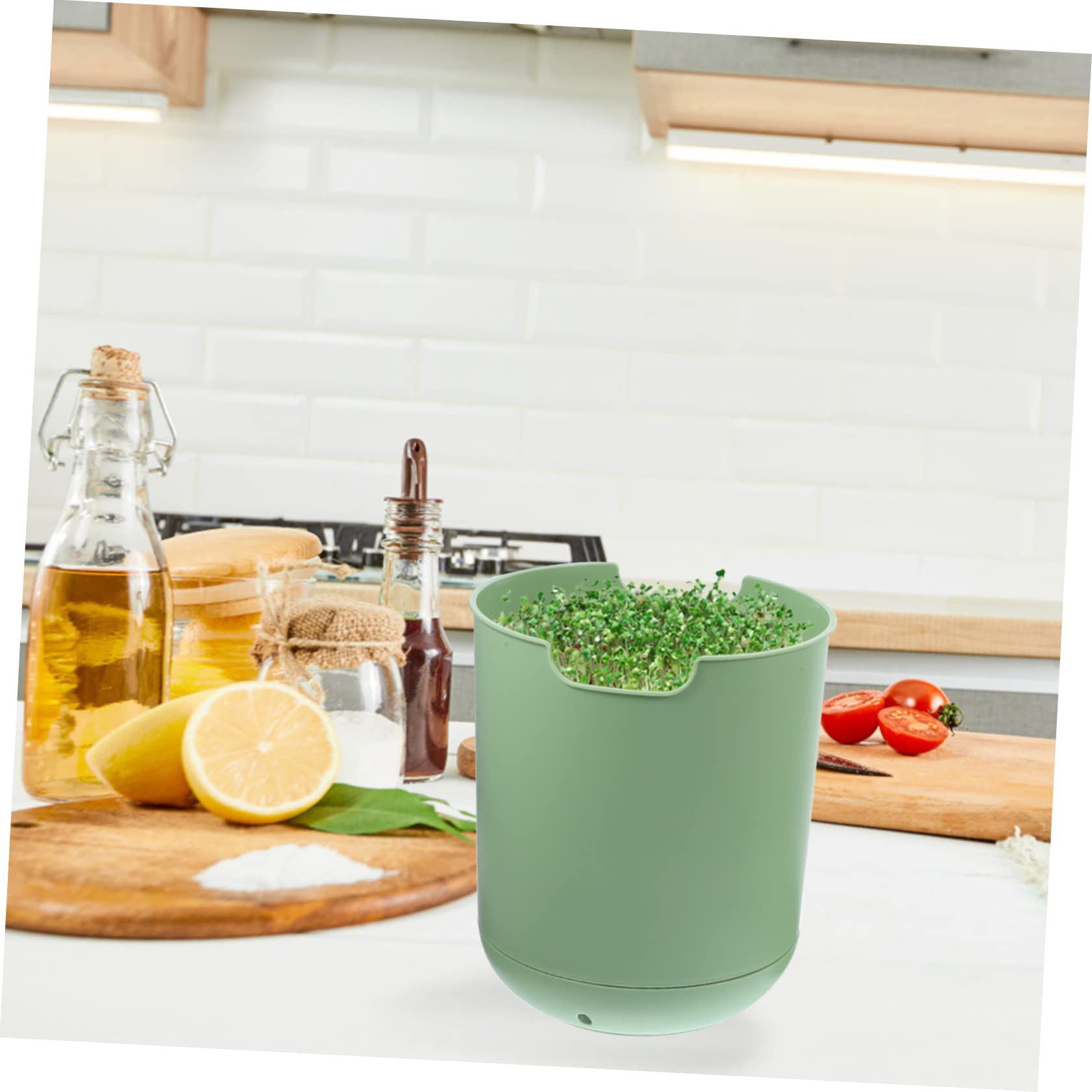 Toddmomy Cubo de Cultivo de Brotes de Soja, 1 Juego PP Verde Claro | Siembra de Semillas, Resistente al Desgaste Rebabas, No se Deforma, Fácil de Guardar