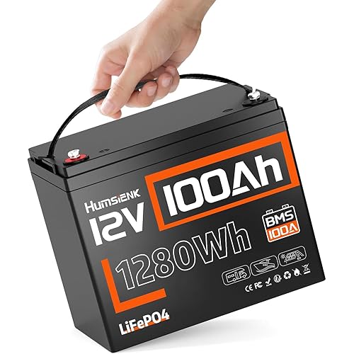 12V 100Ah LiFePO4 Battery Lithium Deep Cycle, Group 24 Size, Built-in 100A BMS, 1280Wh Energy, 15000+ Cycles for RV Solar Off-Grid Marine Trolling Motor, Portable Power for Camping (10-Year Lifespan)