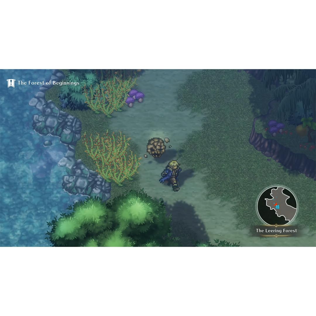WiZmans World Re;Try NS — view 7