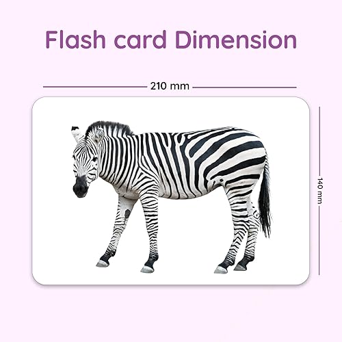 Miniatura 5 de Hungry Brain Tarjetas flash de números para niños pequeños (24 tarjetas de doble cara) Tarjetas de aprendizaje de imagen real para niños de 1 a 4