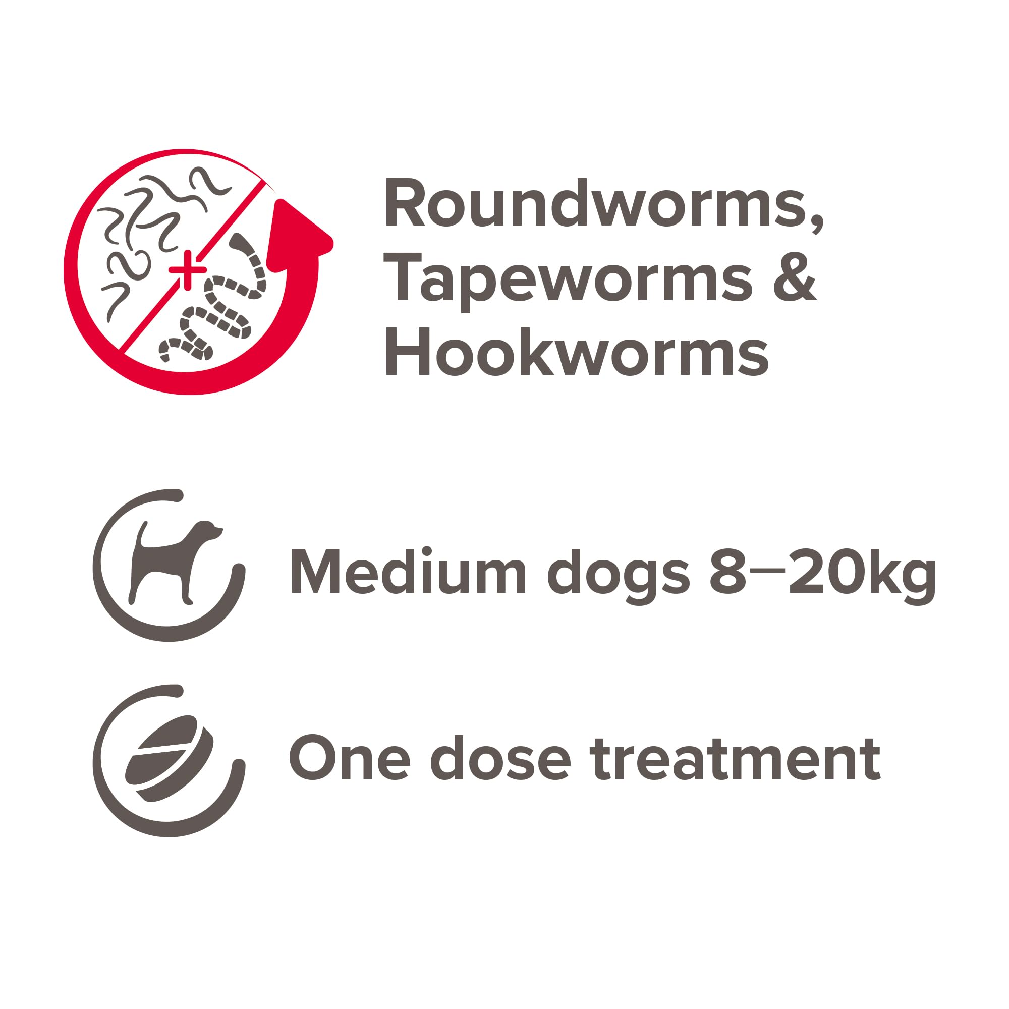 Beaphar, Easy One Dose Worming Tablets For Medium & Large Dogs from 8kg-20kg, Kills Roundworms, Tapeworms & Hookworms - Image 4