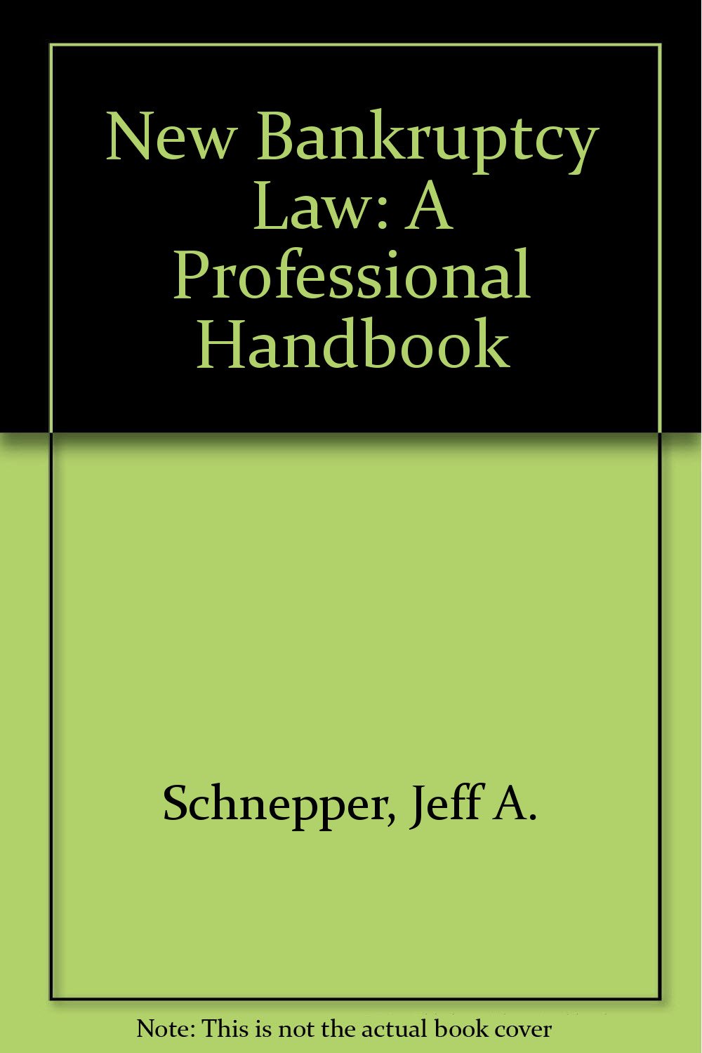 New Bankruptcy Law: A Professional Handbook