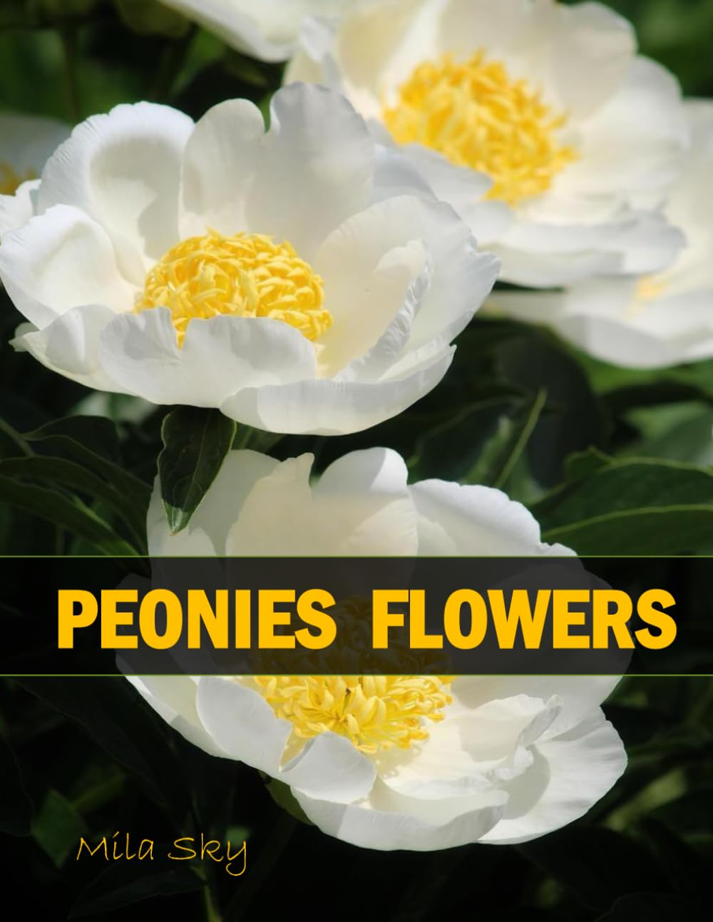 Peonies Flowers: A Stunning Coffee Table Collection of Flower Photography