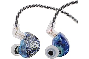 Linsoul Wan'er SG HiFi 10mm Dynamic Driver Earphone