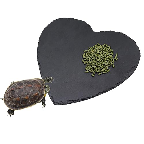 Reptile Basking Platform, 7.9 × 7.9 inch Tortoise Rock Plate,