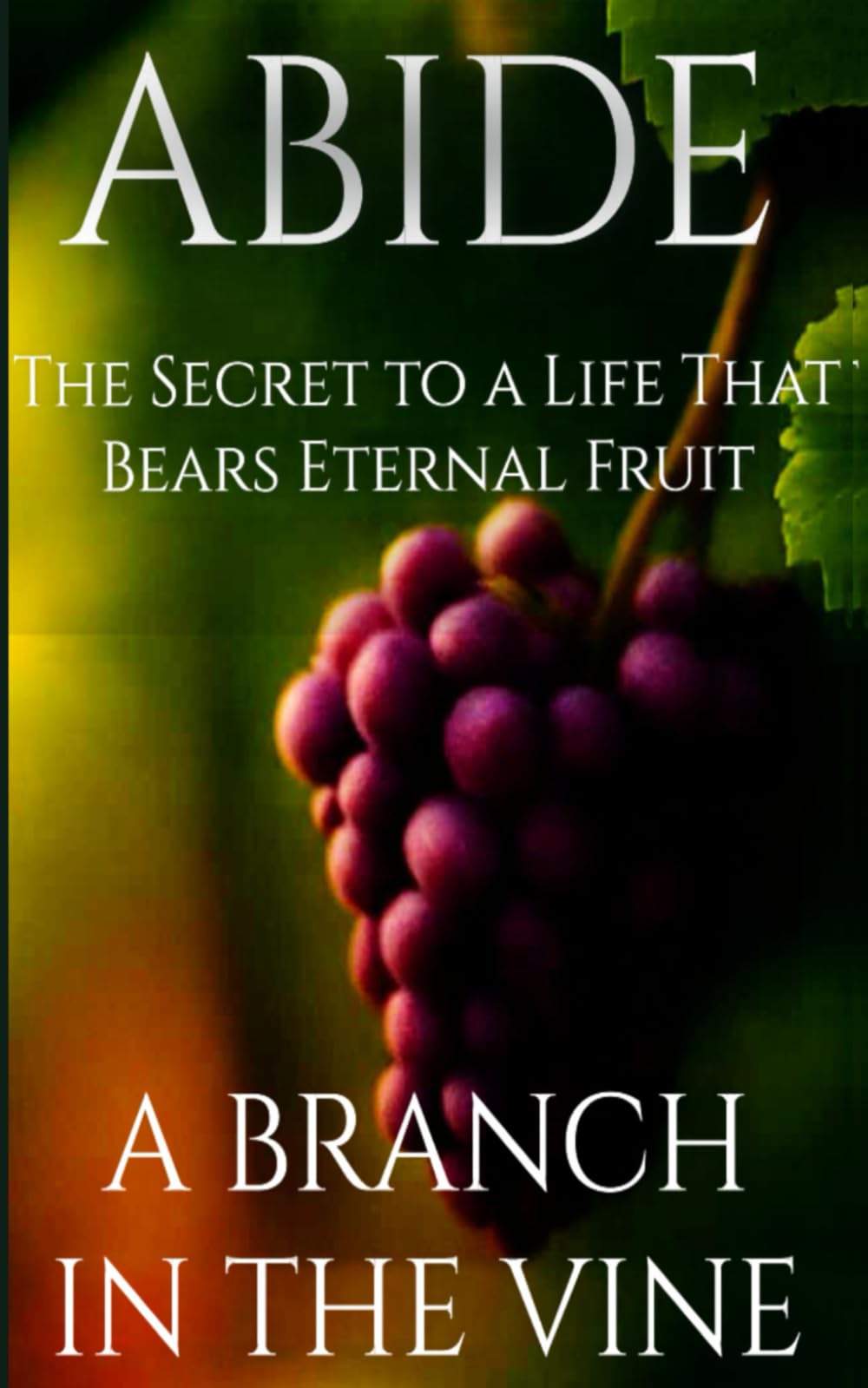 ABIDE: The Secret to a Life That Bears Eternal Fruit