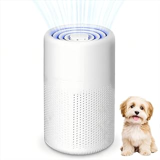 Allergic Air Purifier with Activated Carbon Filter, Portable USB 5W HEPA Filter, Quiet Pet Hair & Odour Purifier for Home,…
