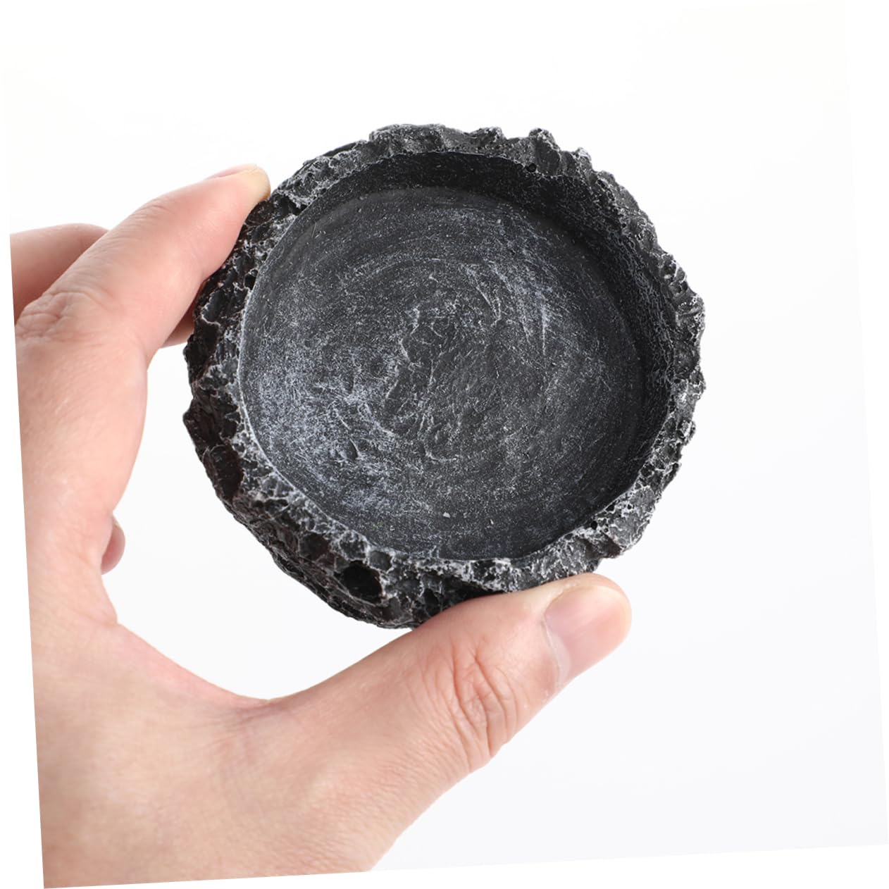 IMIKEYA 1set Ciotola Per Cibo Per Rettili Completo Per Draghi Barbuto e Accessori Facili Da Pinzette Per Alimentazionper Terrari e Habitat Rettili