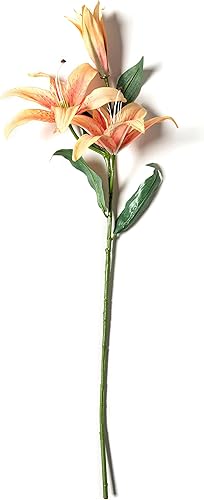 Miniatura 7 de Ashland Michaels Casablanca Tallo de lirio