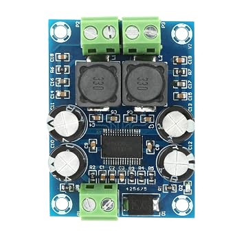 Amplifier Board, TPA3118 60W Mini Digital Mono Amplifier Board, 10-24VDC Audio Power Amplifier Module for TVs, Monitors, Laptops, Speakers, DVD Players