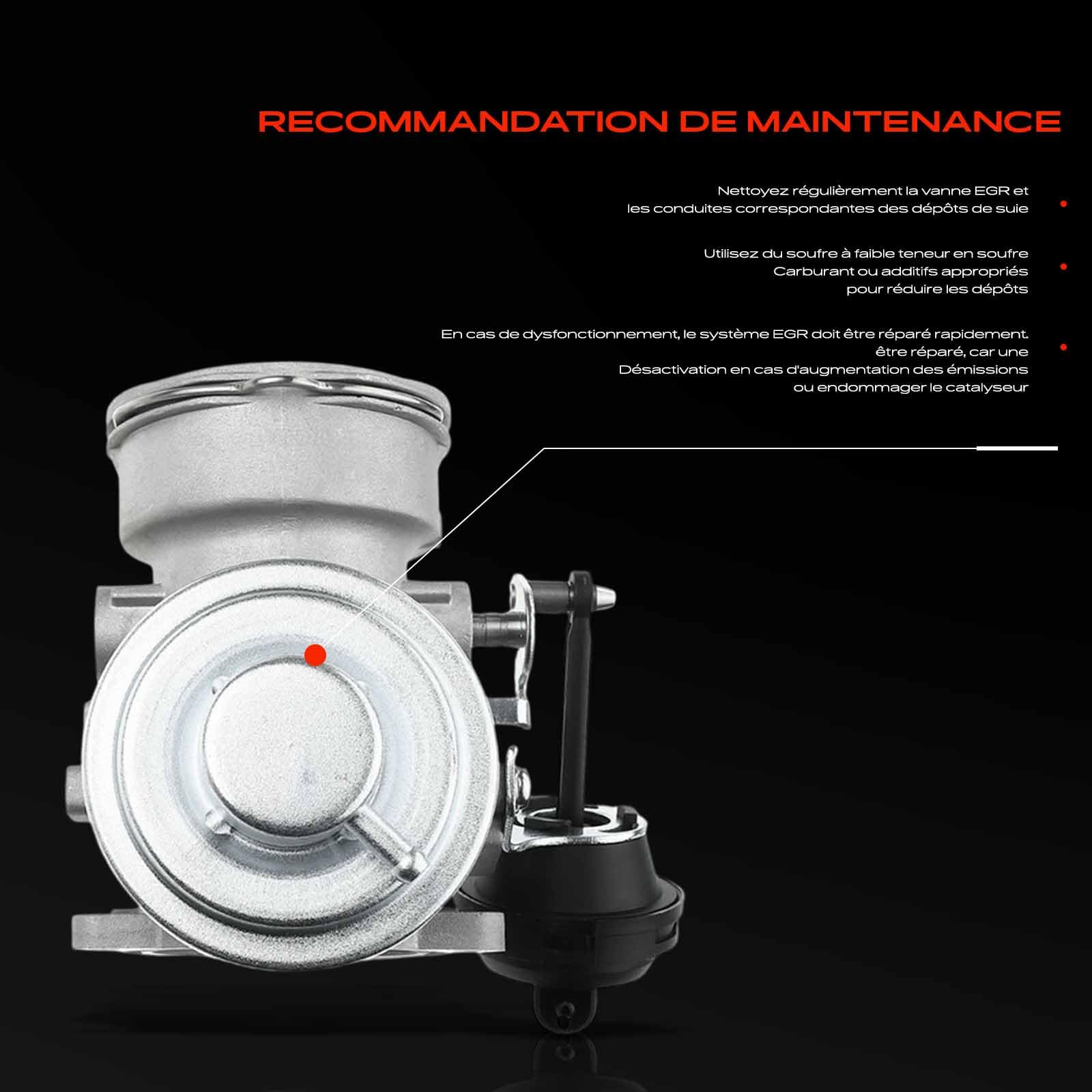 Frankberg Vanne EGR de recirculation des gaz d'échappement 555086