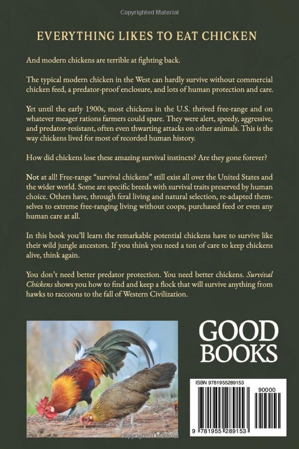 Free-Range Survival Chickens - Image 2