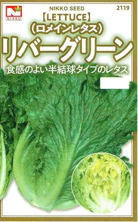 Amazon 種子 リバーグリーン ロメインレタス 約800粒入 野菜