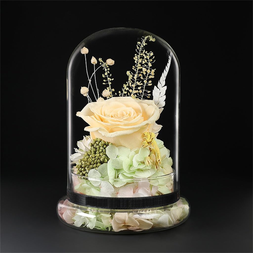 Dry Flower Bundle Eternals Glass Cover Gift Box Wedding Birthday for Girlfriend and Wife