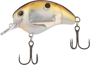 Amazon.com : SHIMANO Black Back Chart World Rush Flash Boost