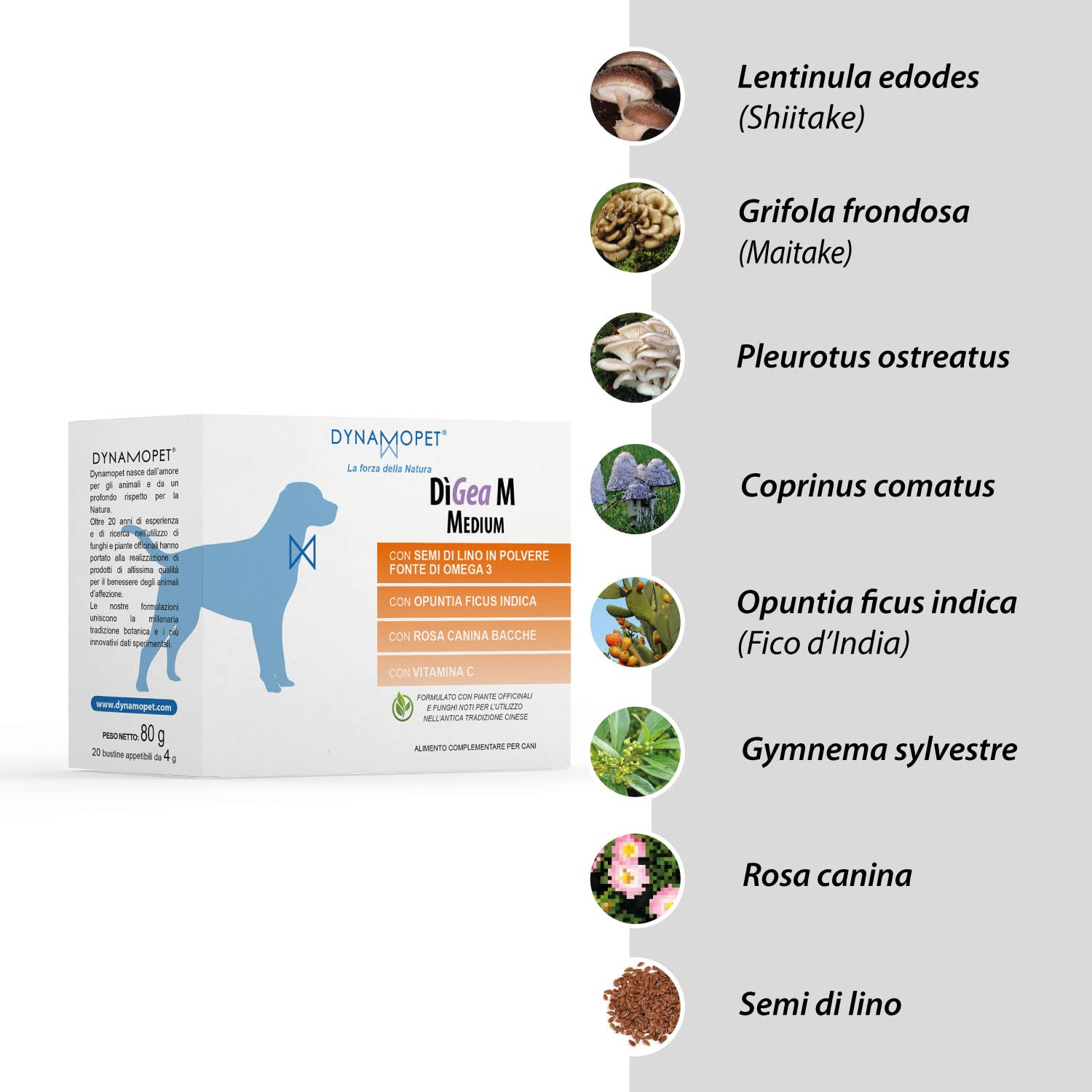 Dìgea M Medium - Alimento Complementare per Aiutare le Condizioni Metaboliche del Cane, Confezione 20 Bustine da 4 g - una Bustina ogni 20 kg di Peso dell'Animale