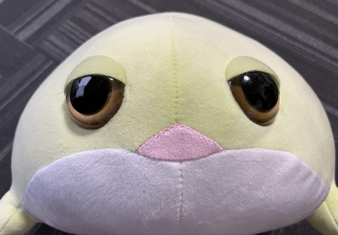 Amazon.co.jp: アメフクラガエル BIG ぬいぐるみ : おもちゃ